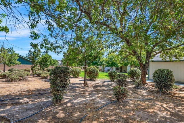 431 S Fowler Ave, Fresno, CA 93727 - view of yard