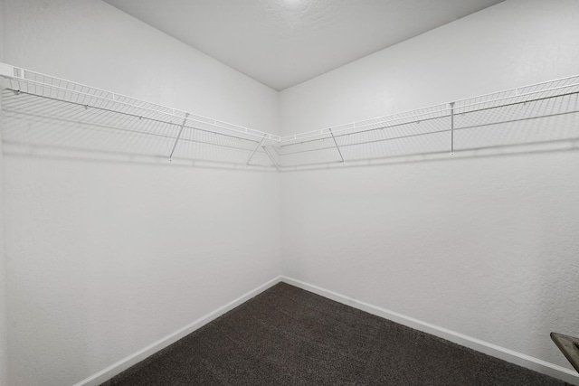 503 Cathedral Ct S, Madera, CA 93636 - walk in closet with dark colored carpet