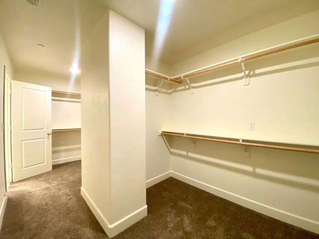578 S Alpine Way S, Madera, CA 93636 - walk in closet with carpet