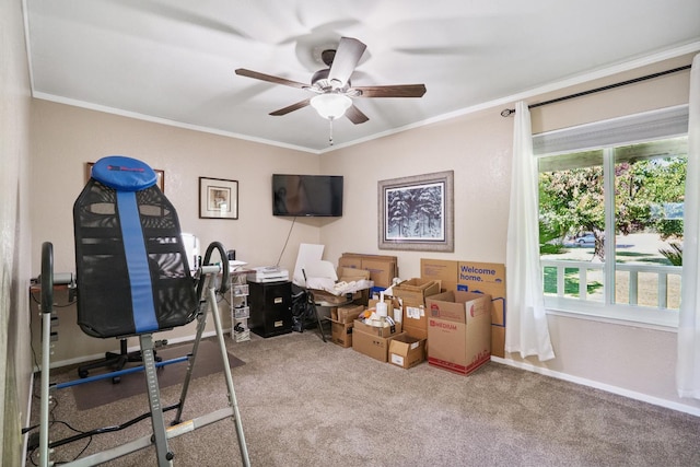 11736 Waverly Rd, Madera, CA 93636 - office area featuring ceiling fan, carpet, and ornamental molding