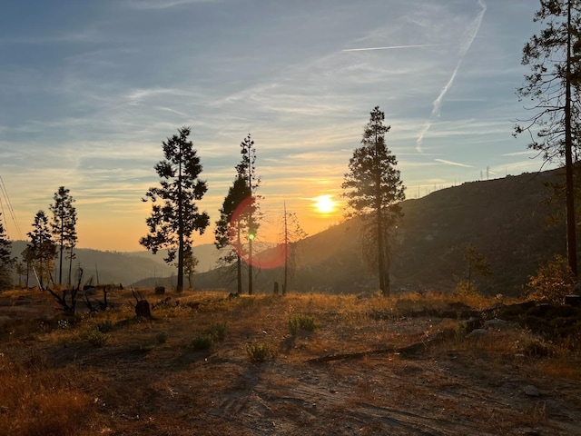 42096 Limber Ln, Shaver Lake, CA 93664