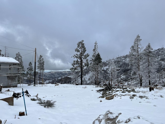 42096 Limber Ln, Shaver Lake, CA 93664