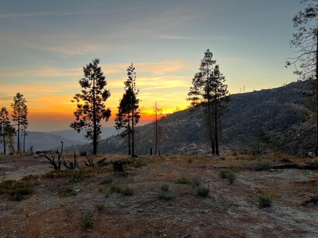 42096 Limber Ln, Shaver Lake, CA 93664
