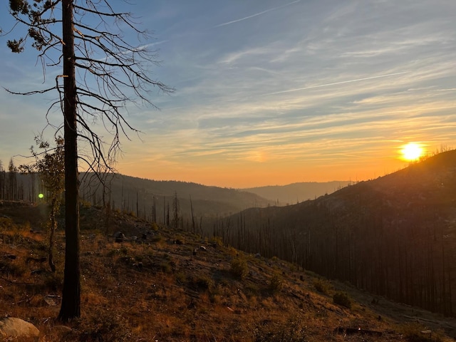42096 Limber Ln, Shaver Lake, CA 93664