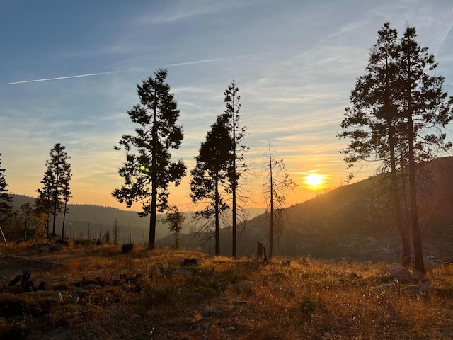 42096 Limber Ln, Shaver Lake, CA 93664