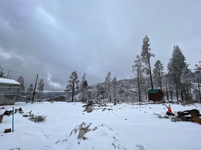 42096 Limber Ln, Shaver Lake, CA 93664