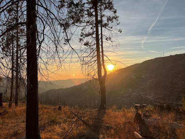42096 Limber Ln, Shaver Lake, CA 93664