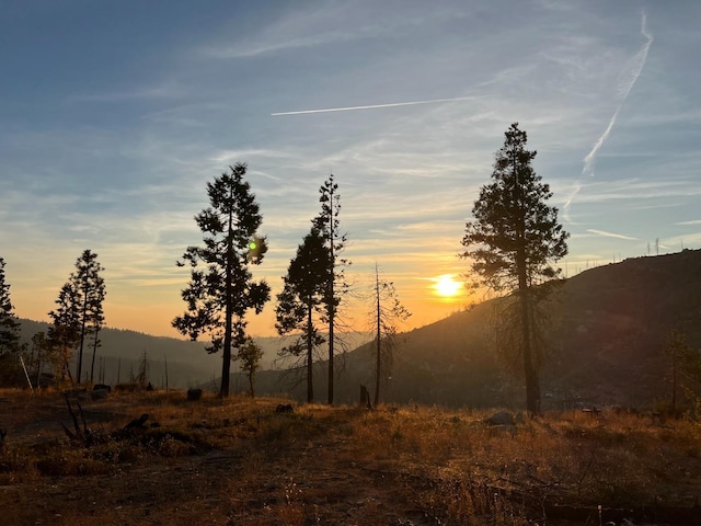 42096 Limber Ln, Shaver Lake, CA 93664