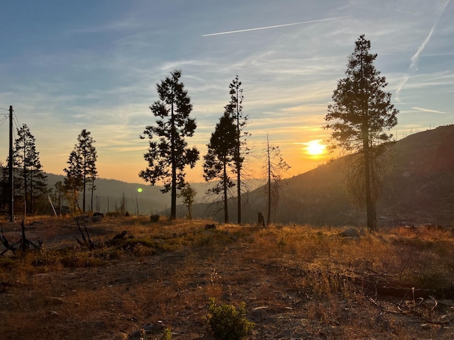 42096 Limber Ln, Shaver Lake, CA 93664