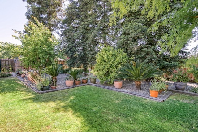 3084 Magnolia Ave, Clovis, CA 93611 - view of fenced backyard