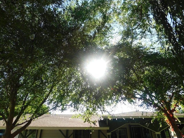 3415 E Lincoln Ave, Fresno, CA 93725 - exterior view of a shingled roof