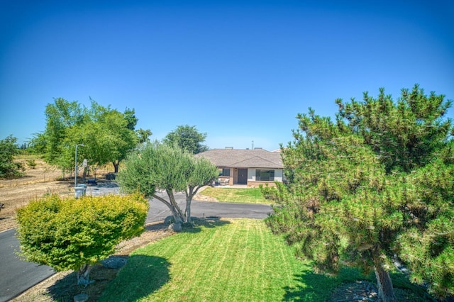 3377 N Bryan Ave, Fresno, CA 93723 - view of green lawn