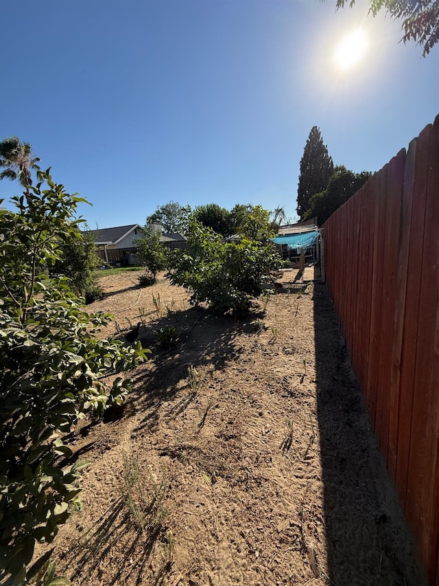 2662 Yerba St, Selma, CA 93662 - view of yard