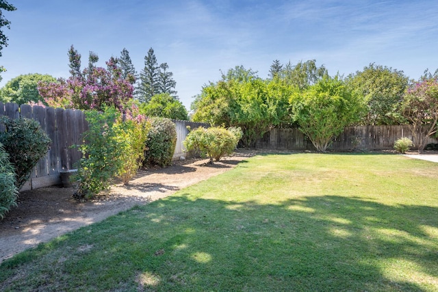 6372 N Benedict Ave, Fresno, CA 93711 - view of fenced backyard