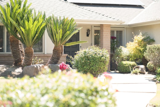 6372 N Benedict Ave, Fresno, CA 93711 - property entrance with stucco siding and a shingled roof