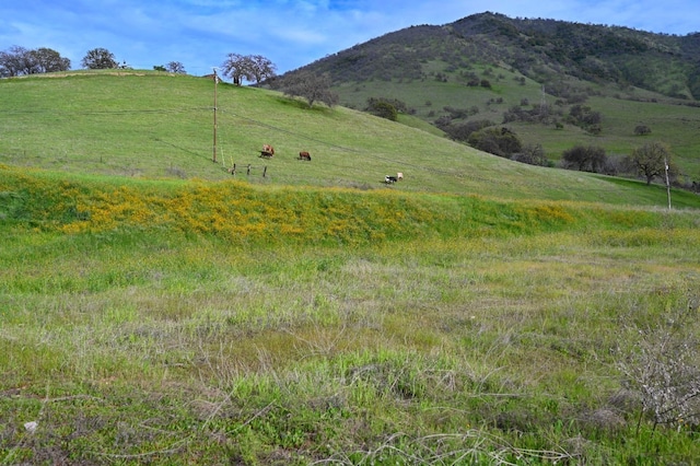 25190 Elwood Rd, Sanger, CA 93657 - view of mountain background with rural landscape and agricultural land