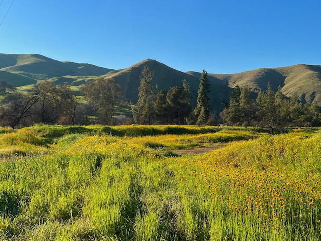 25190 Elwood Rd, Sanger, CA 93657 - view of mountain background