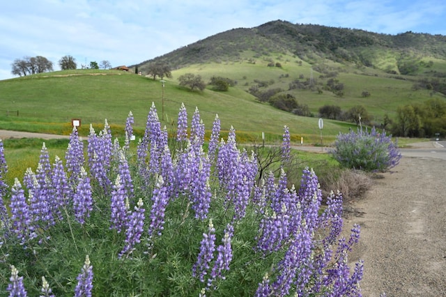 25190 Elwood Rd, Sanger, CA 93657 - view of mountain backdrop