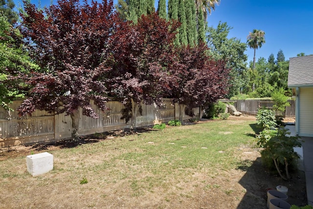 6447 N Vagedes Ave, Fresno, CA 93711 - view of fenced backyard