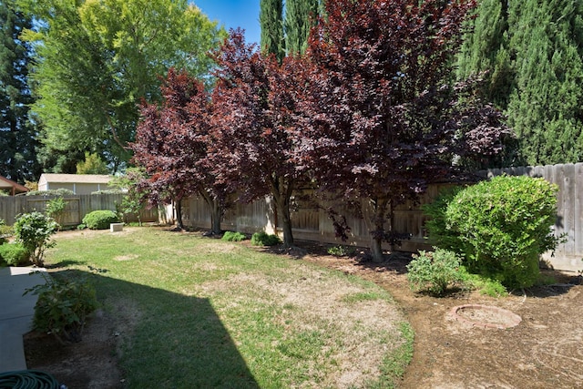 6447 N Vagedes Ave, Fresno, CA 93711 - view of fenced backyard