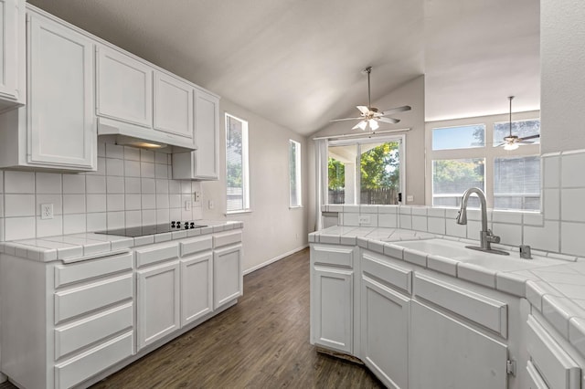 5811 W Beechwood Ave, Fresno, CA 93722 - kitchen with ceiling fan, under cabinet range hood, backsplash, tile counters, and vaulted ceiling