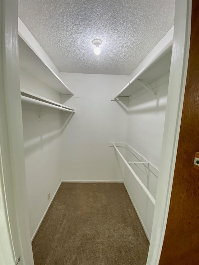 12173 Rd 36, Madera, CA 93636 - spacious closet featuring carpet flooring