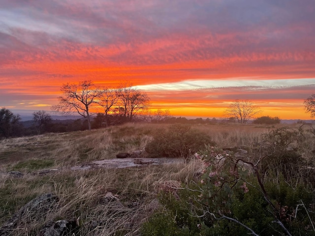 2 Buggy Whip Dr, Coarsegold, CA 93614