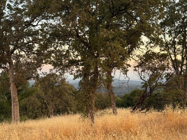 2 Buggy Whip Dr, Coarsegold, CA 93614