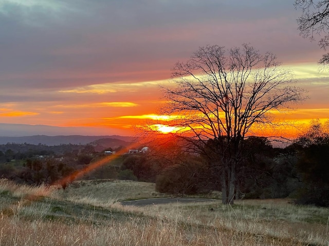 2 Buggy Whip Dr, Coarsegold, CA 93614