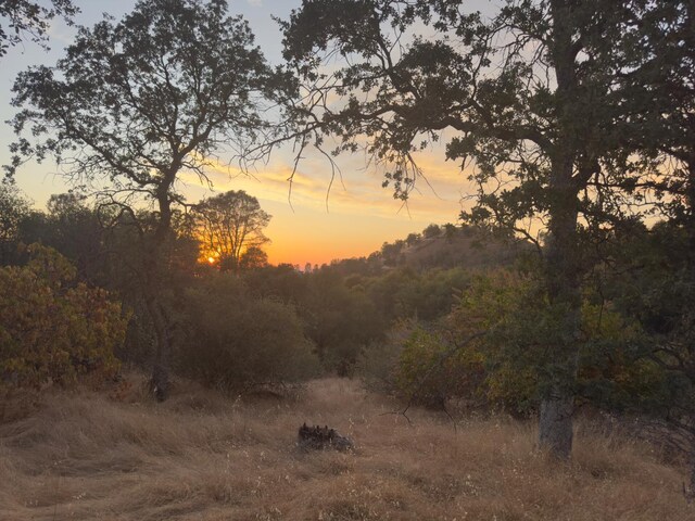2 Buggy Whip Dr, Coarsegold, CA 93614