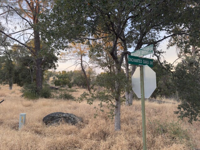 2 Buggy Whip Dr, Coarsegold, CA 93614