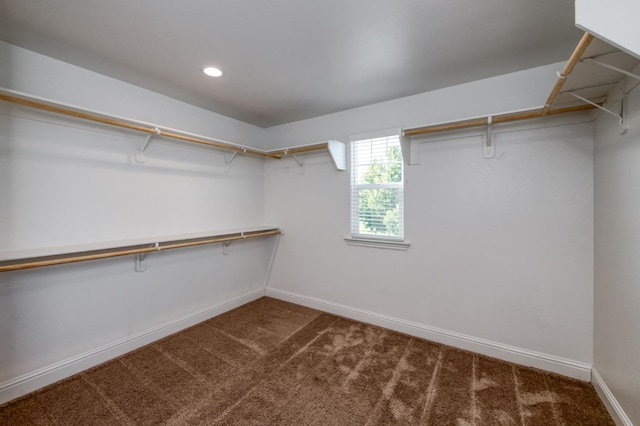 7393 E Michigan Ave, Fresno, CA 93737 - spacious closet with carpet