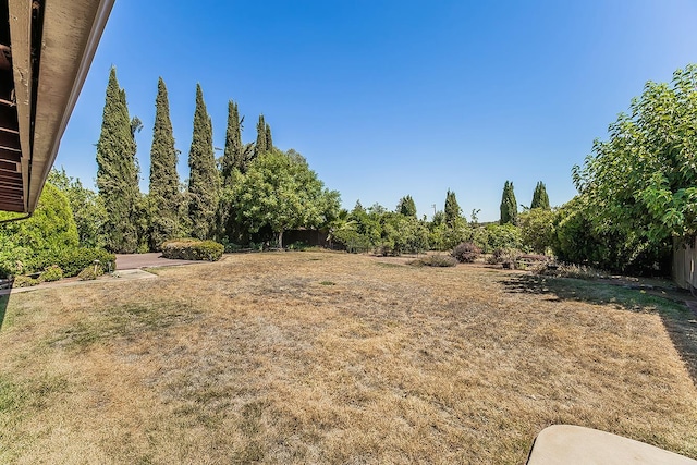 10465 E Herndon Ave, Clovis, CA 93619 - view of yard
