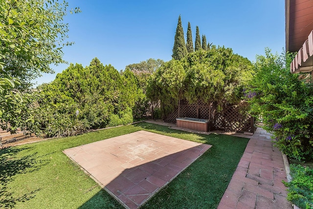 10465 E Herndon Ave, Clovis, CA 93619 - view of green lawn with a patio area and a hot tub