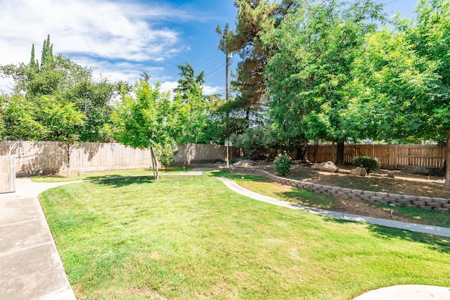 135 N Park Dr, Madera, CA 93637 - view of fenced backyard