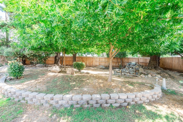 135 N Park Dr, Madera, CA 93637 - view of fenced backyard