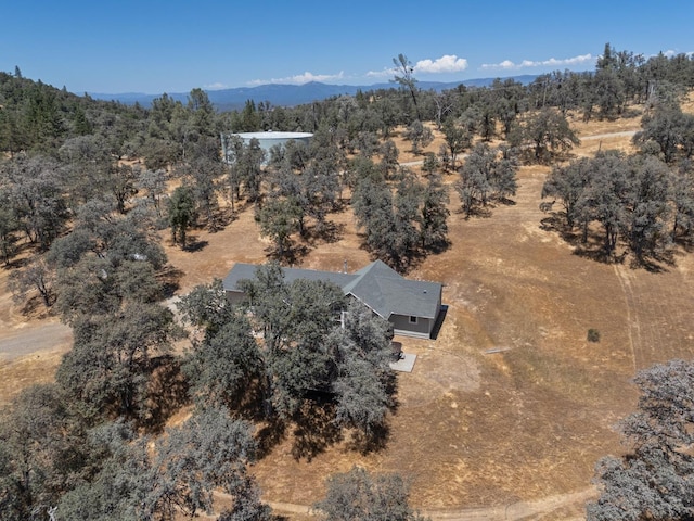 5797 Colorado Rd, Mariposa, CA 95338 - photo 39