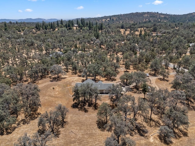 5797 Colorado Rd, Mariposa, CA 95338 - photo 48