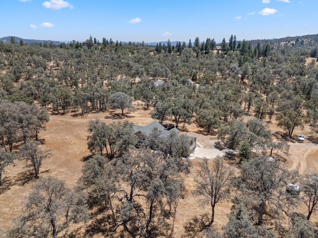 5797 Colorado Rd, Mariposa, CA 95338 - photo 50