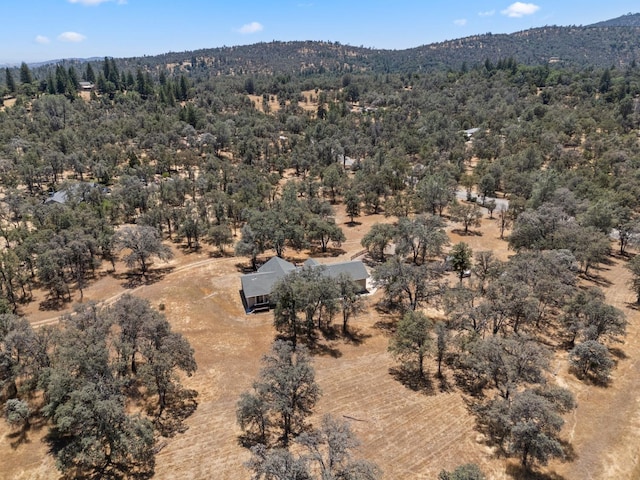 5797 Colorado Rd, Mariposa, CA 95338 - photo 49