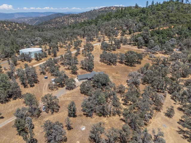 5797 Colorado Rd, Mariposa, CA 95338 - photo 44