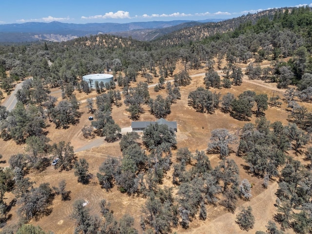 5797 Colorado Rd, Mariposa, CA 95338 - photo 43