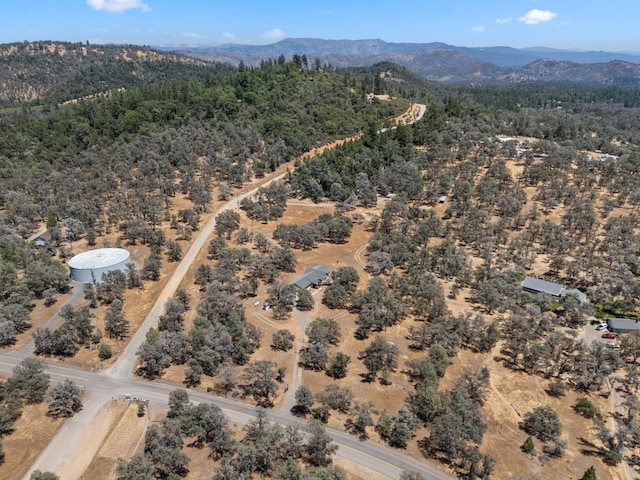 5797 Colorado Rd, Mariposa, CA 95338 - photo 45
