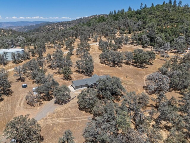 5797 Colorado Rd, Mariposa, CA 95338 - photo 41