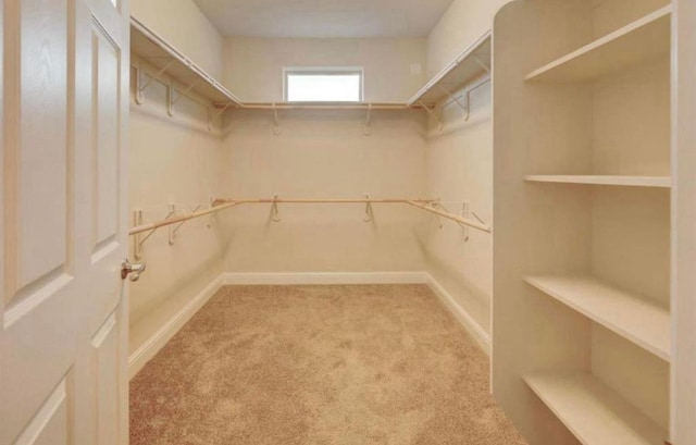 1728 E Green Sage Ave, Fresno, CA 93730 - walk in closet with carpet