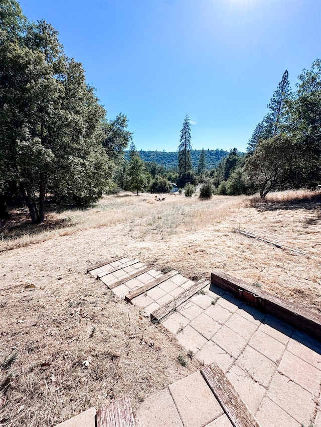 37969 Rd 422, Oakhurst, CA 93644 - view of yard