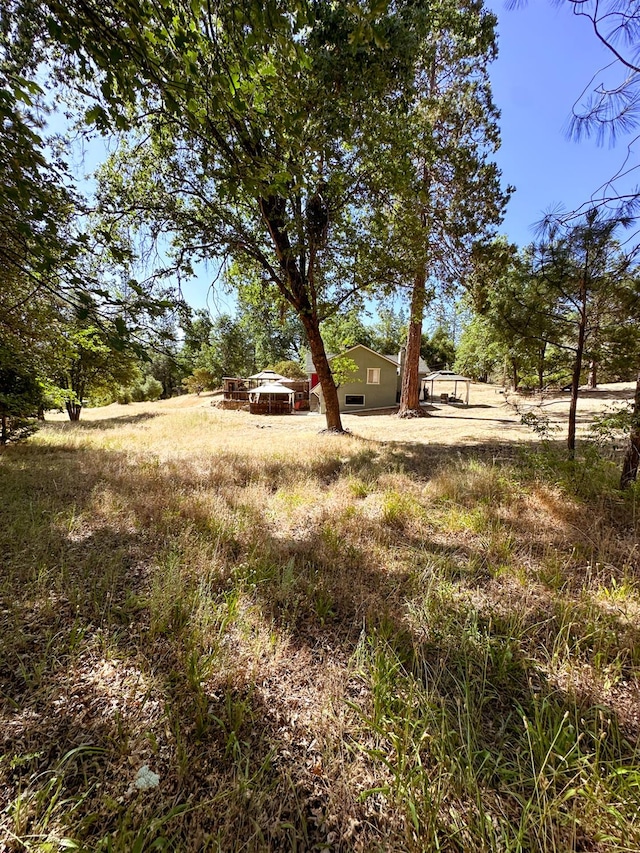 37969 Rd 422, Oakhurst, CA 93644 - view of yard
