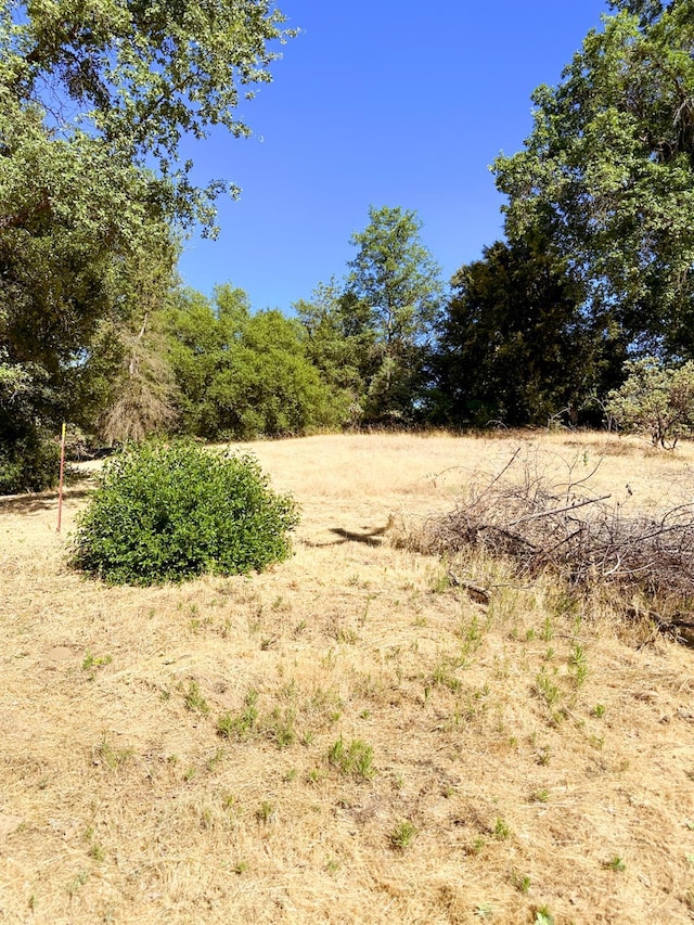 37969 Rd 422, Oakhurst, CA 93644 - view of undeveloped land