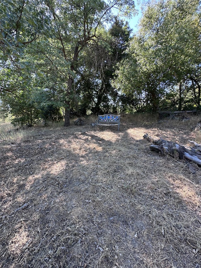 37969 Rd 422, Oakhurst, CA 93644 - view of yard