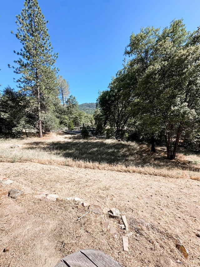 37969 Rd 422, Oakhurst, CA 93644 - view of yard